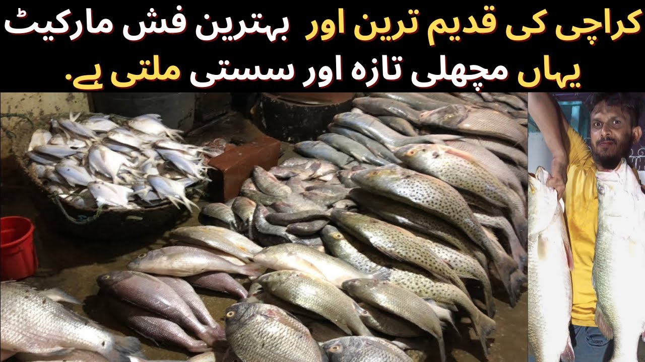 Best Fish Market in Karachi Bangali Para Korangi Fish Market