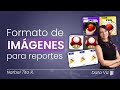 Formato de imágenes para reportes