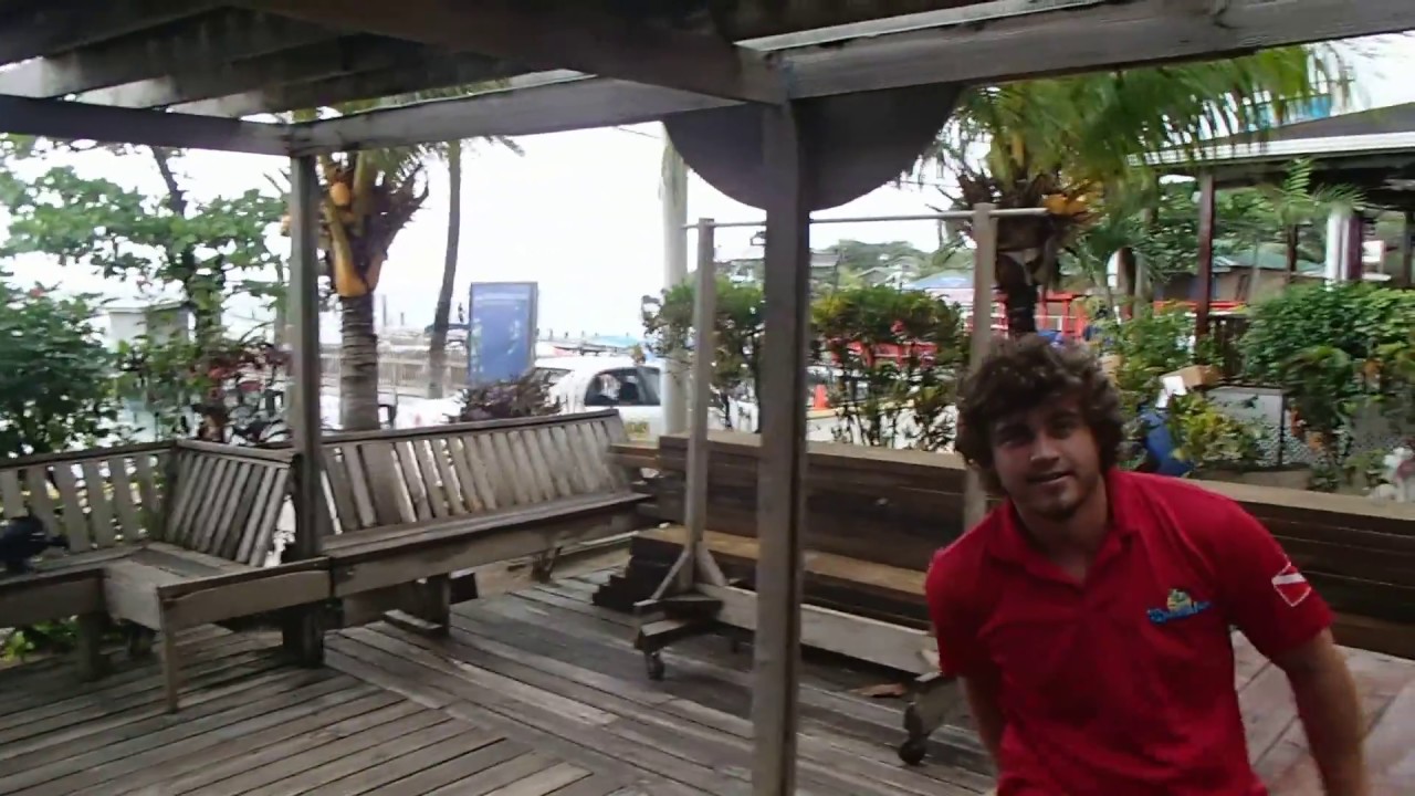 Splash Inn Dive Resort Roatan - YouTube
