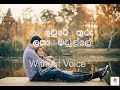 Gan Iwure Thuru Latha Madulle Karaoke(Without Voice)