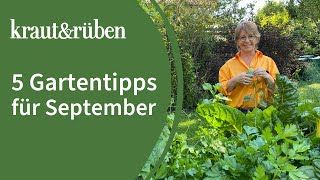 Gartentipps für September: Wintersalate säen und Zwiebeln pflanzen