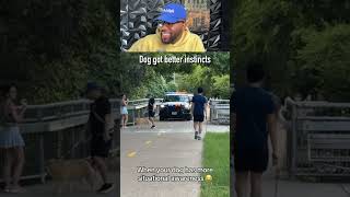 When your dog has more situational awareness