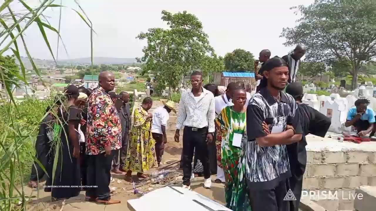 Live streaming of Freddy image tv