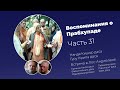 «Воспоминания о Прабхупаде». Фильм 31. Prabhupada Memories