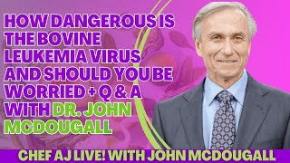 How Dangerous Is The Bovine Leukemia Virus | A Brand New Lecture by John McDougall, M.D. by CHEF AJ 2,250 views 3 weeks ago 34 minutes