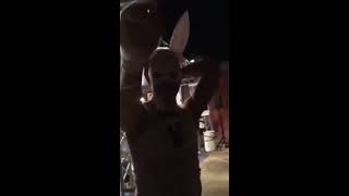 Jello Wrestling Extravaganza 2018