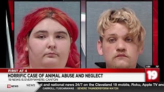 7 pets found dead, 16 pets found in neglectful conditions in Canton home; Couple charged