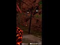 Monkey Shenanigans! Subscribe for a cookie