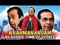 Brahmanandam Hilarious Comedy Scenes | South Indian Hindi Dubbed Best Comedy Scenes