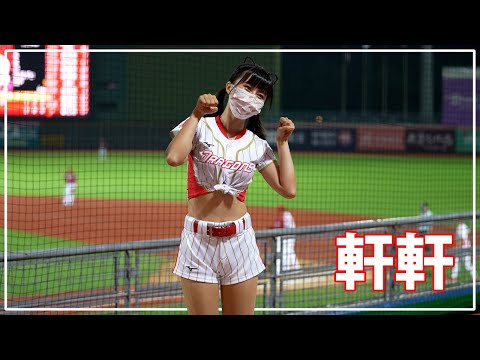 黃柏豪応援!! 軒軒 Dragon Beauties 小龍女 味全龍啦啦隊 天母棒球場 2021/09/25 【台湾チアTV】