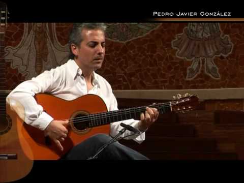 Pedro Javier gonzalez, Palau de la Musica Catalana, Barcelona 2009 - Catala