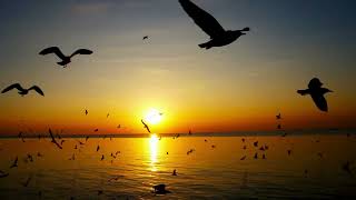 Gece Sensin Aslında 