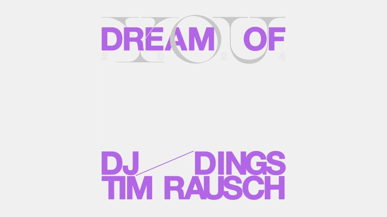 Schiller - Dream Of You (DJ Dings & Tim Rausch Rework)
