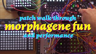 Custom Morphagene Reels Patch Walkthrough (and Performance)
