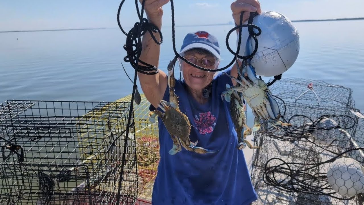 We Love Catching These Large Crabs