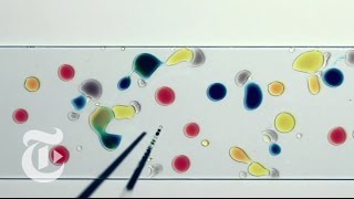 Celebrity The Physics of Droplets | ScienceTake | The New York Times Net Worth