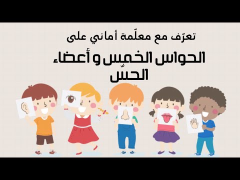 مادة الايقاظ العلمي درس الحواس و أعضاء الحس