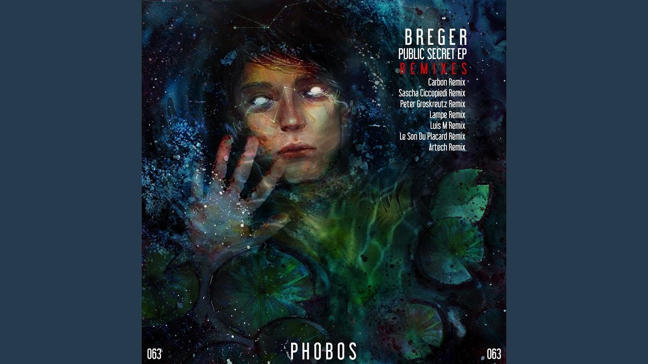 Public Secret (Carbon Remix)