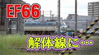 【貨物列車】EF66が解体線に… 2025年5月6日
