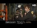 Fantastic Beasts and Where to Find Them (2016) Bowtruckle and Niffler Featurette [HD]