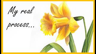 My watercolor process: Layering & fixing mistakes 😂 Paint a daffodil with me step-by-step