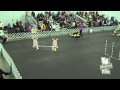 Kui SatSTD RoseCityClassic 2015 Kui SatSTD RoseCityClassic 2015