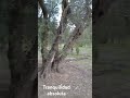 parque norte ! San Rafael . 🇦🇷