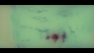 Doug Tuttle “Ratchet”