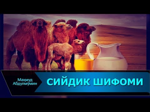 Video: Mushukdagi Siydik Muammolari: Mushuk Idiyopatik Sistitini Davolash (FIC)