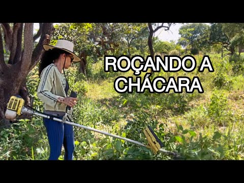 Using a brush cutter to clear the land - How to use a brush cutter