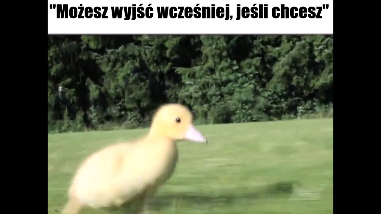 Kiedy Możesz Wyjść Szybciej Z Pracy Youtube