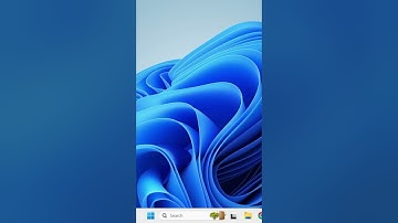 Windows 11 Remove Picture from Search bar | #Shorts