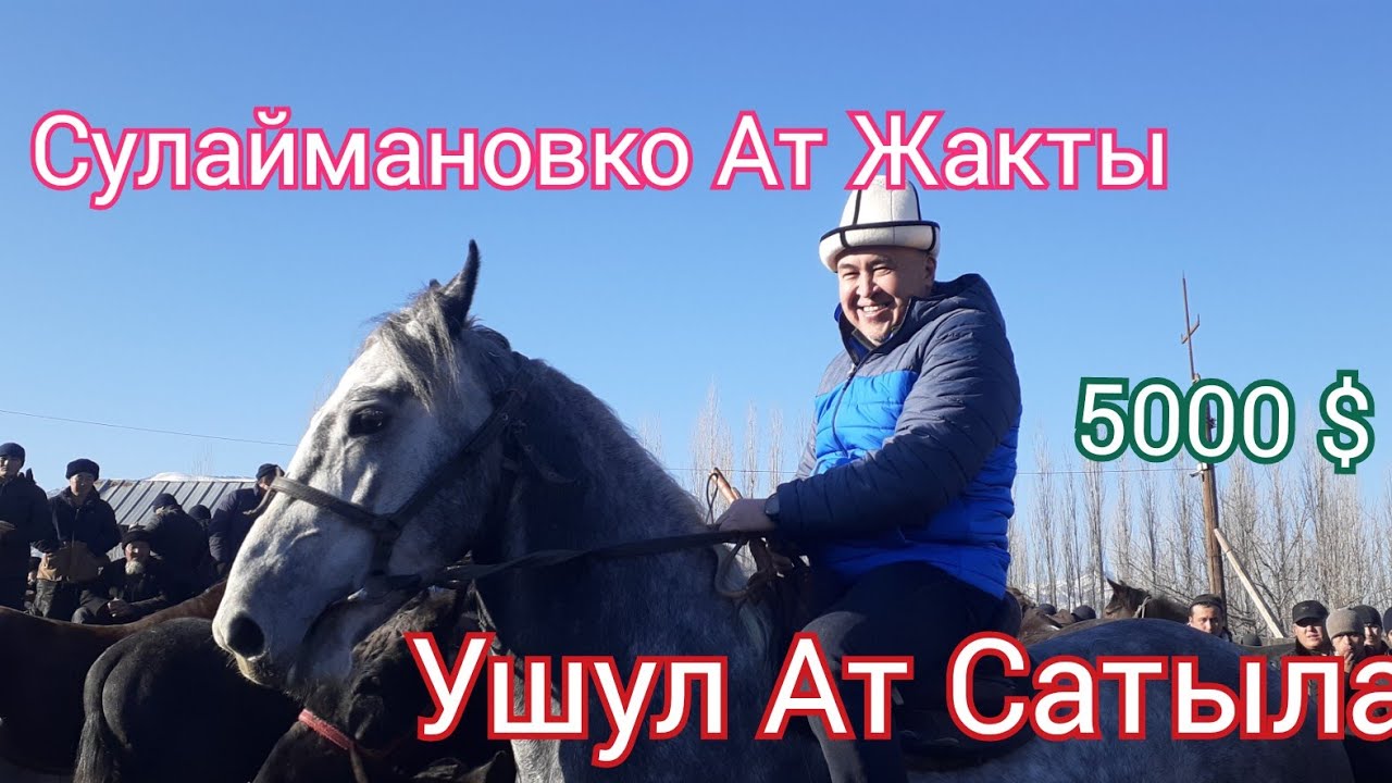 Алтынбек Сулайманов Ноокат Мал Базарында Эл аралап Базарды тамаша кылды