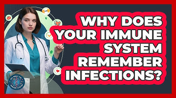 Why Does Your Immune System Remember Infections? - All About the Immune System