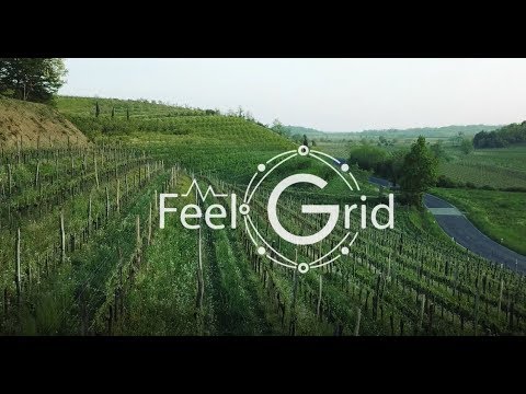 Video: Smart Vineyard: Shaping And Pruning