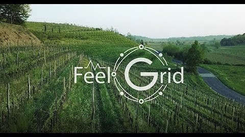FeelGrid Smart Vineyard