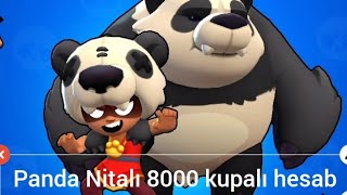Panda Nitalı 8000 Kupalı Kimsenin Girmediği Hesab