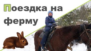 ЛЕСНАЯ ФЕРМА ♥ Жидкое стекло ♥ Деревянный конструктор ♥ Аквамозаика