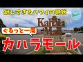【寂しすぎるハワイの現状】ぐるっと一周、カハラモール