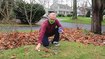 How to Measure Soil Biodiversity with Prof. Byrne
