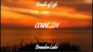 Brandon Lake - Count 'Em Lyrics Video