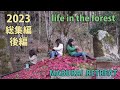 2023年 総集編 後編 山暮らし 田舎暮らし forest life 2023 Compilation #2 selfsufficient lifestyle English subs