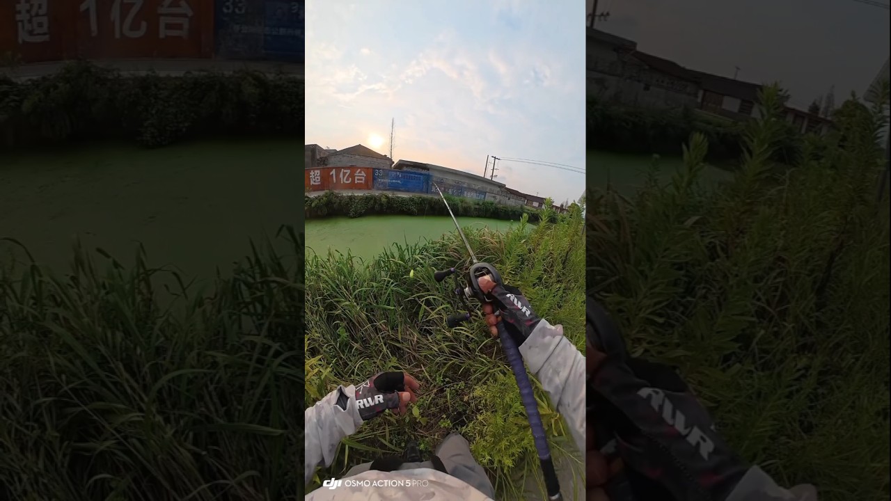 Massive Snakehead Catch on Hooked | Outdoor Fishing Adventure