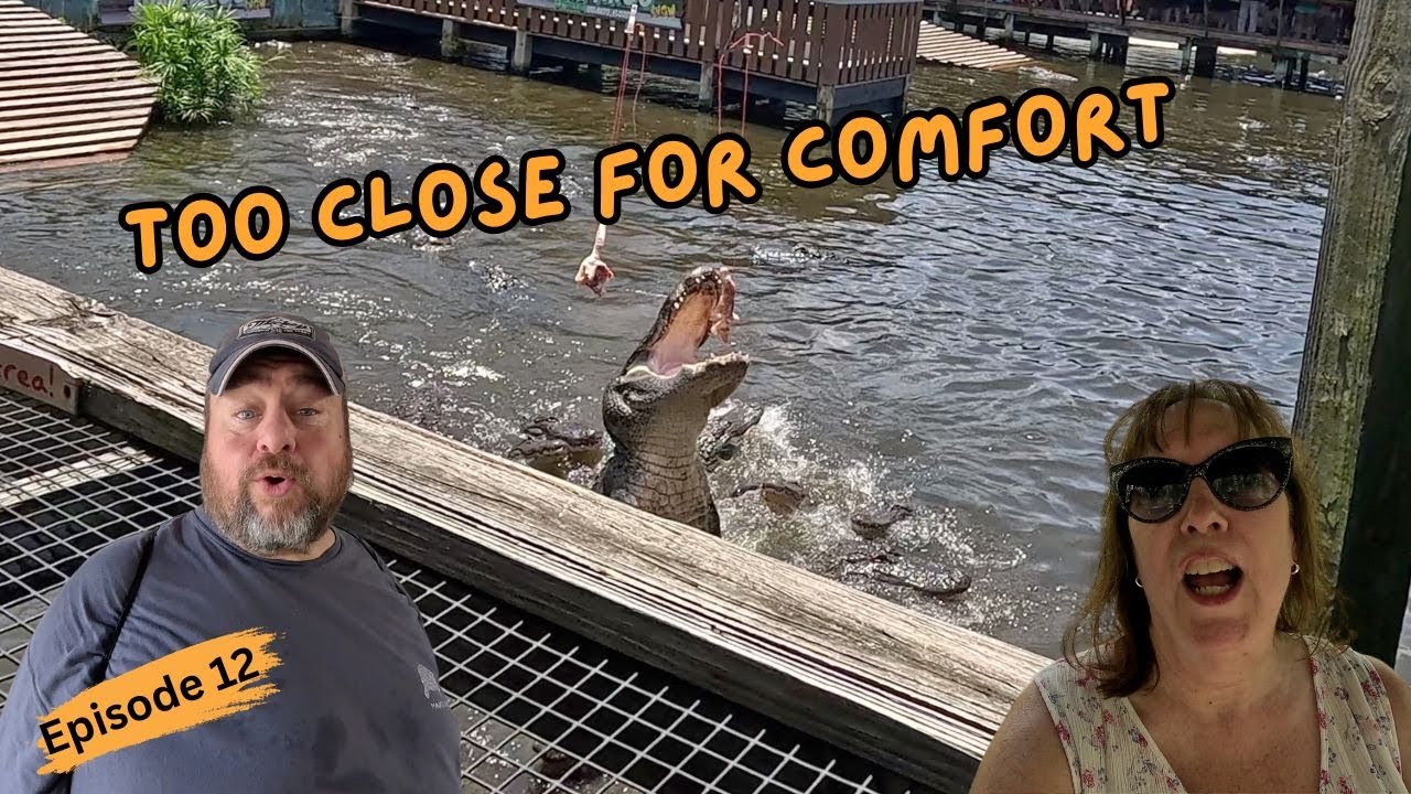 Тур Gatorland Orlando: аллигаторы, приключения и семейный отдых!