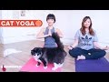 Cat Yoga - Hype Hunt: EP10