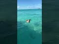 Swim With Pigs In Bahamas 