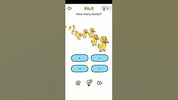 Brain out level 2-How many ducks? Walkthrough solution