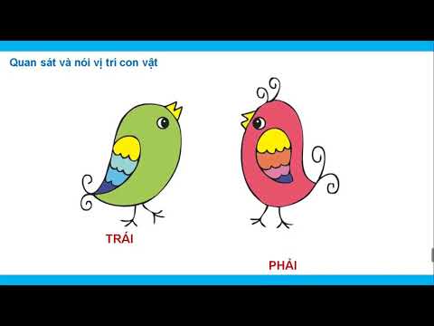 Lớp 1 - toán