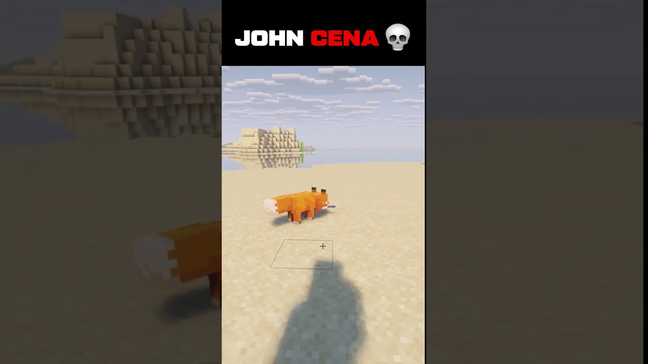 #newcreator