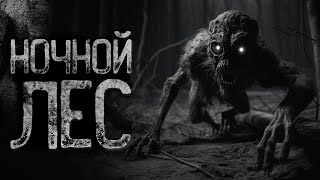 видео: В ЛЕСУ ЛЮДИ НОЧЬЮ ПРОПАДАЮТ - Из Яви в Навь | Страшные и мистические истории на ночь. Страшилки картинка: В ЛЕСУ ЛЮДИ НОЧЬЮ ПРОПАДАЮТ - Из Яви в Навь | Страшные и мистические истории на ночь. Страшилки